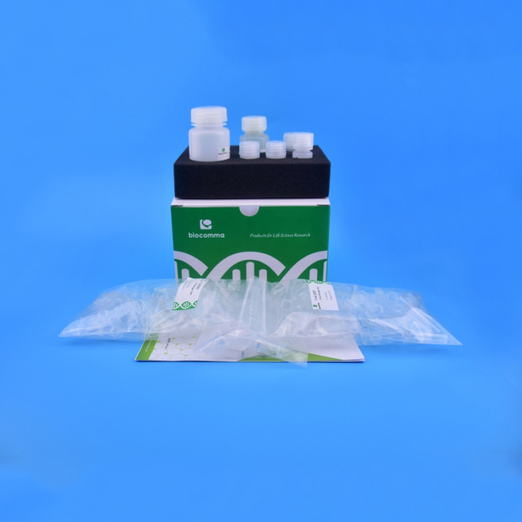 002-2-2 Blood Genomic DNA Kits
