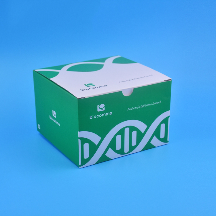 MNP001-2-2.JPG Plasmid Preparation Kits