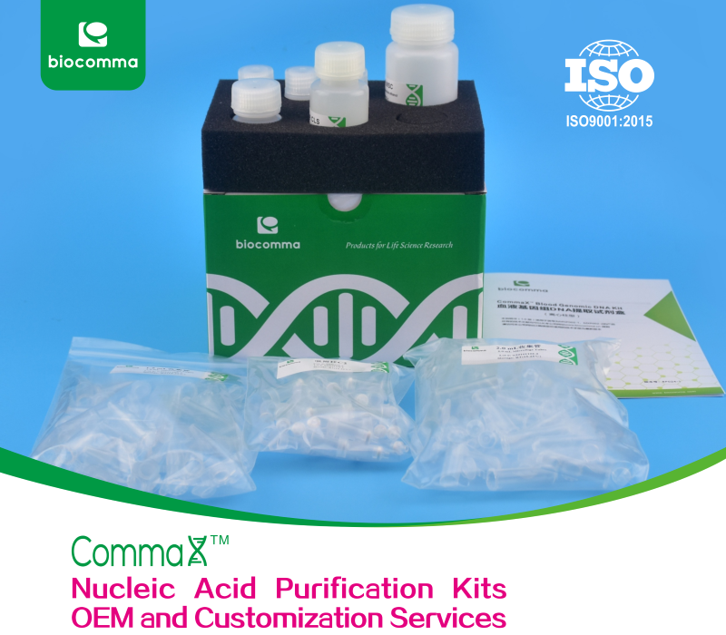 kits_oem Nucleic Acid Purification Kits OEM