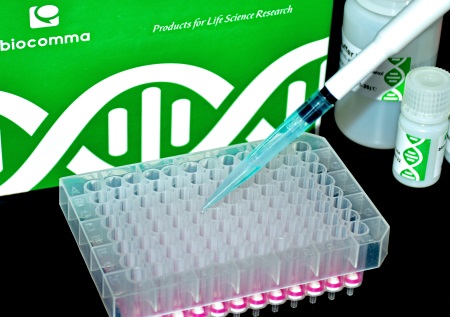 N96 Plasmid Kit