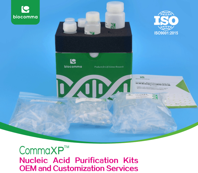 Kits OEM