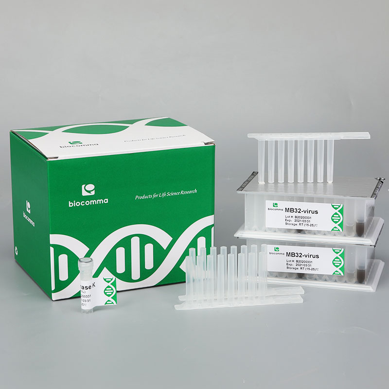 Swab Genomic DNA Extraction Kits (Prepacked Beads